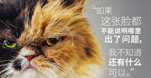 貓咪做完絕育結(jié)果驚訝了