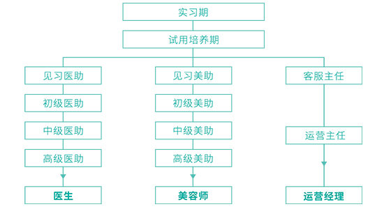 實習生培訓晉級路徑